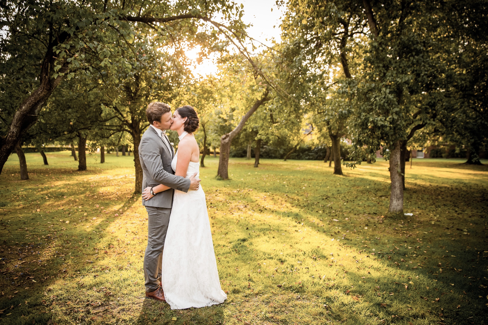 Hochzeitsportrait brautpaar auf feld mit apfelbaemen kuessend