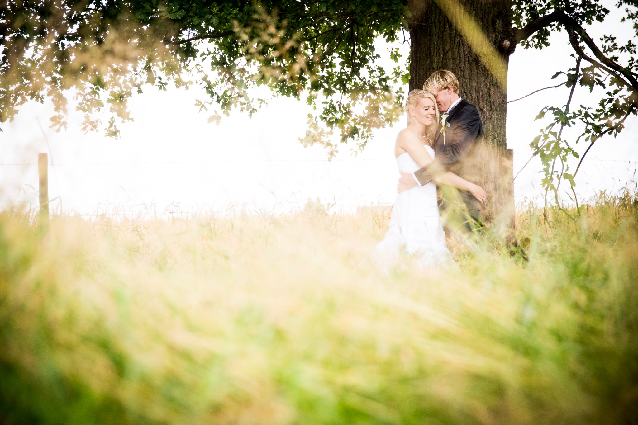 Hochzeitsportrait brautpaar in arme liegend grass im vordergrund