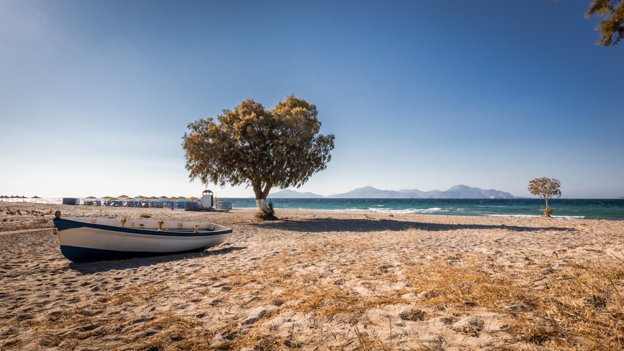 Boot baum strand tigaki kos