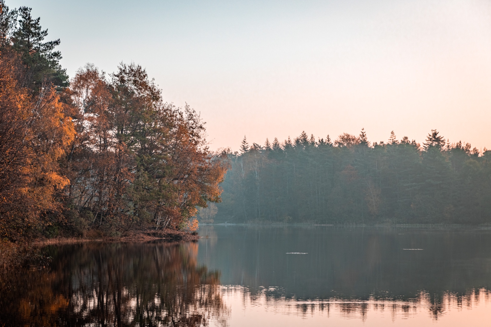 Sanderfelder see