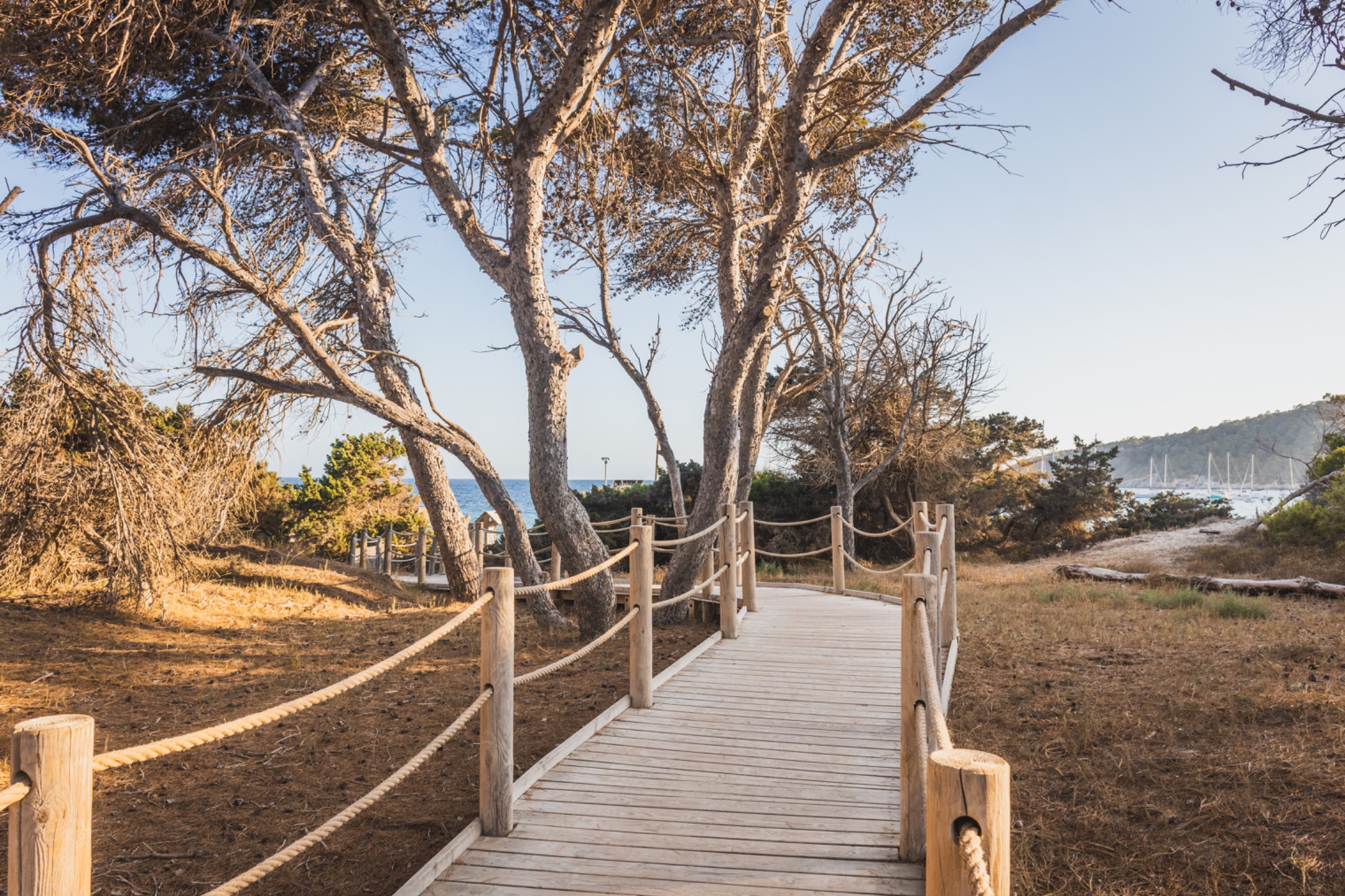 Weg zum strand ses salines ibiza