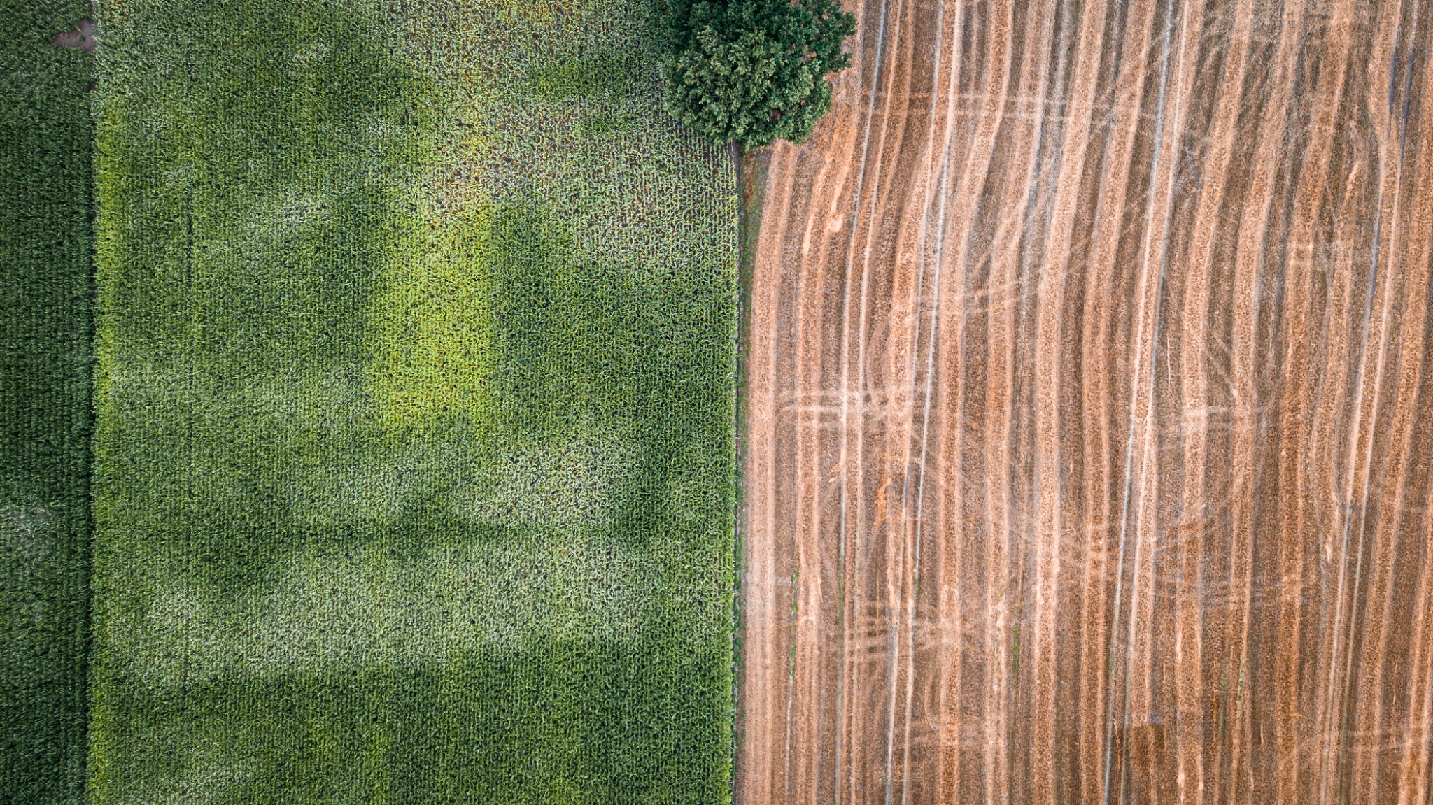 Landwirtschaft von oben luftaufnahme